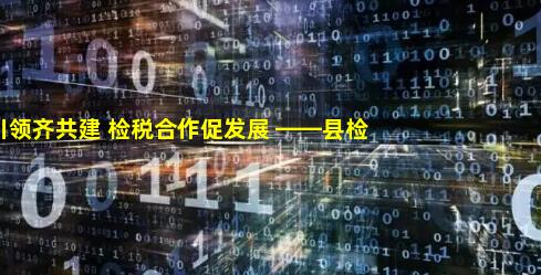 党建引领齐共建 检税合作促发展 ——县检察院与县税务局开展结对共建活动_